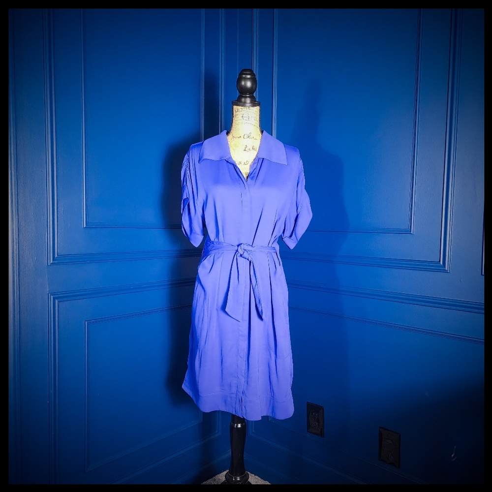 Marisa Kenson Cobalt Blue Button Down Shirt Dress